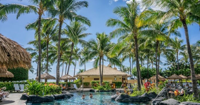 Come Organizzare una Festa Hawaiana 